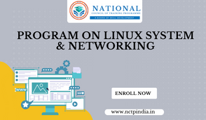 Program On Linux System & Networking